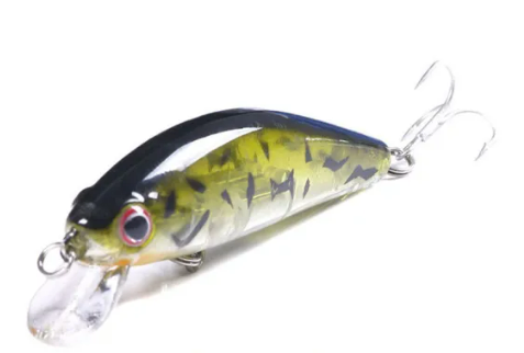MINNOW