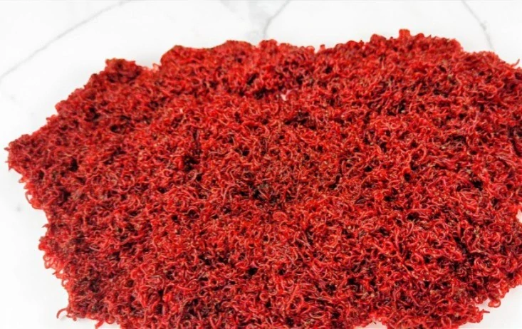 PATENTKA ŽIVÁ MALÁ DO KRMENÍ (JOKERS)POLSKÁ 1KG
