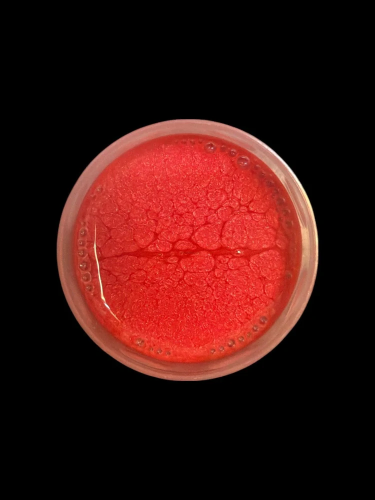 RyvaLures Softbait Paint Pearl Candy Red 30ml