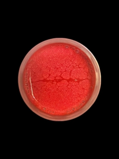 RyvaLures Softbait Paint Pearl Candy Red 30ml